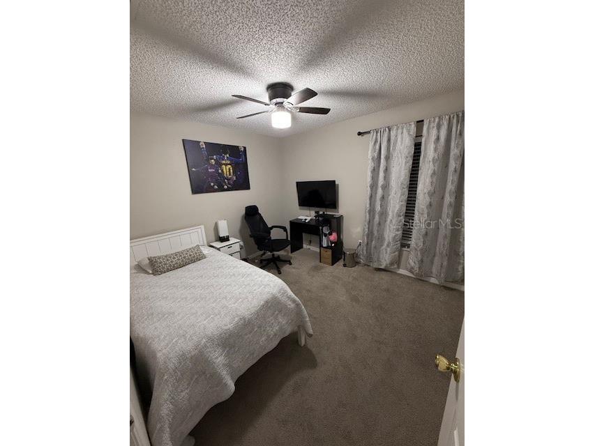 2431 Titus Court Orlando FL 32817 S5139190 image7