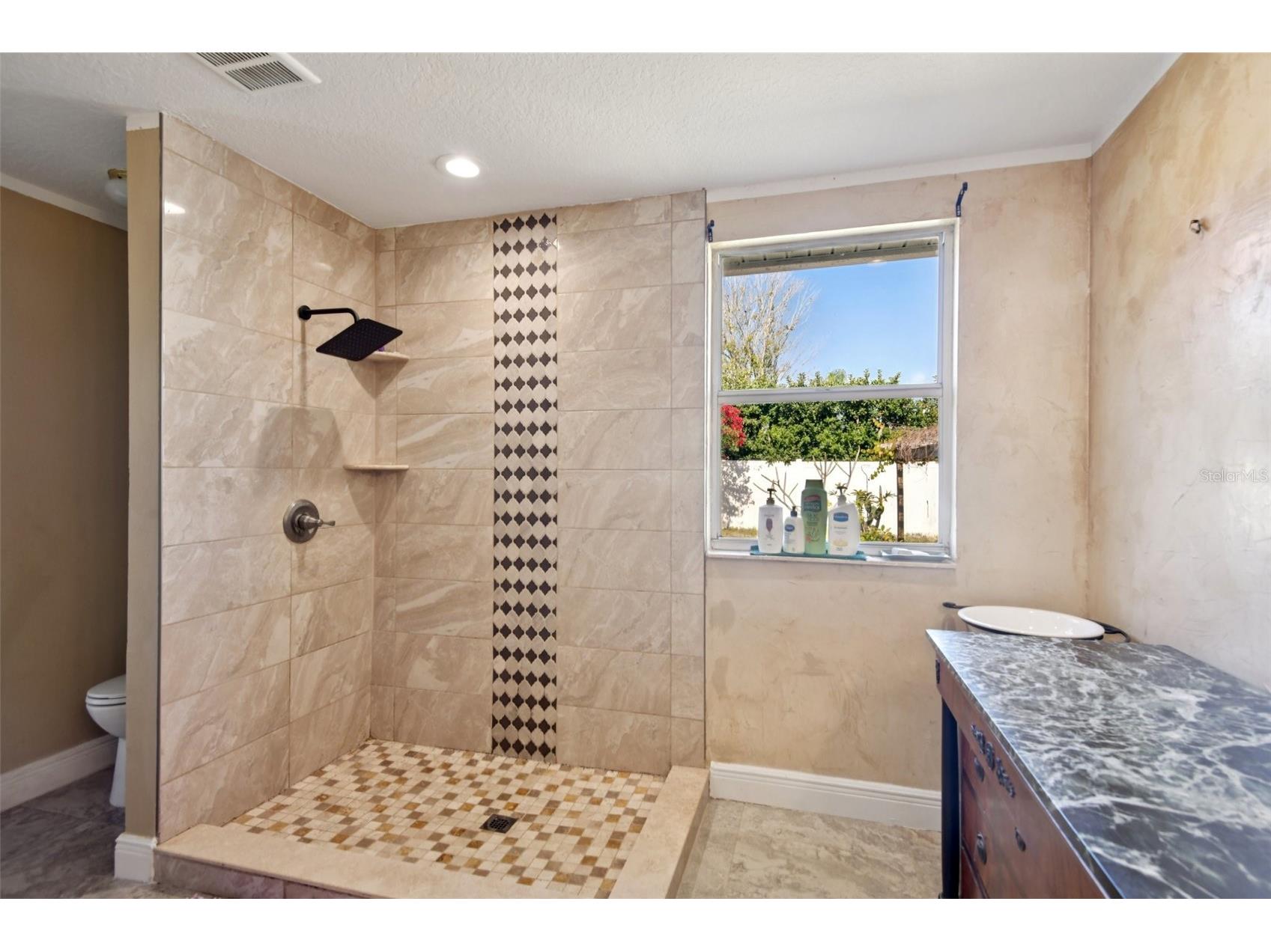 24311 Branchwood Court Lutz FL 33559 TB8455684 image20