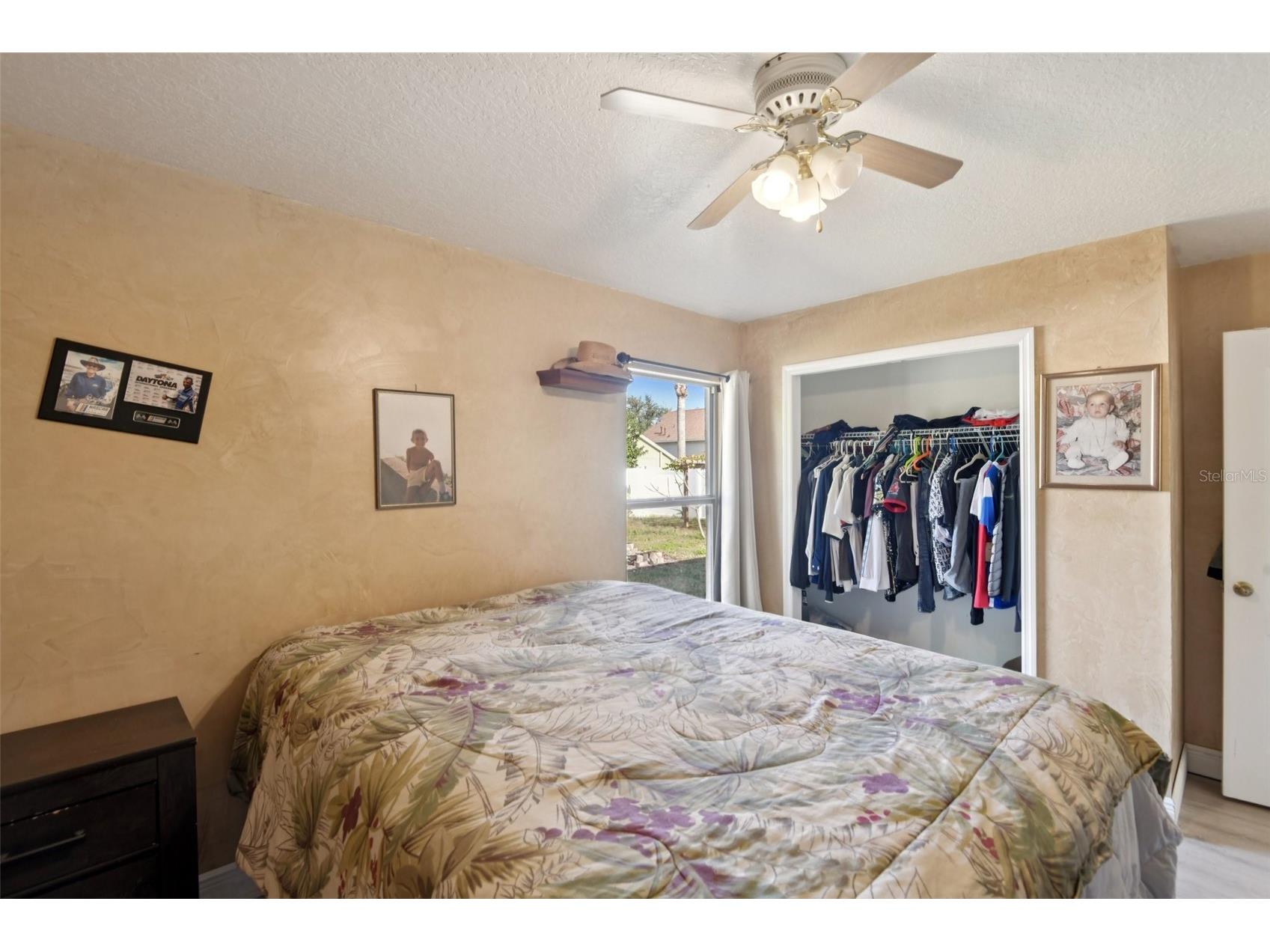 24311 Branchwood Court Lutz FL 33559 TB8455684 image27