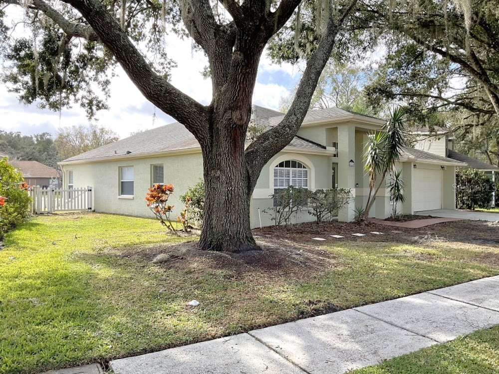 24314 Painter Drive Land O Lakes FL 34639 T3496874 image1