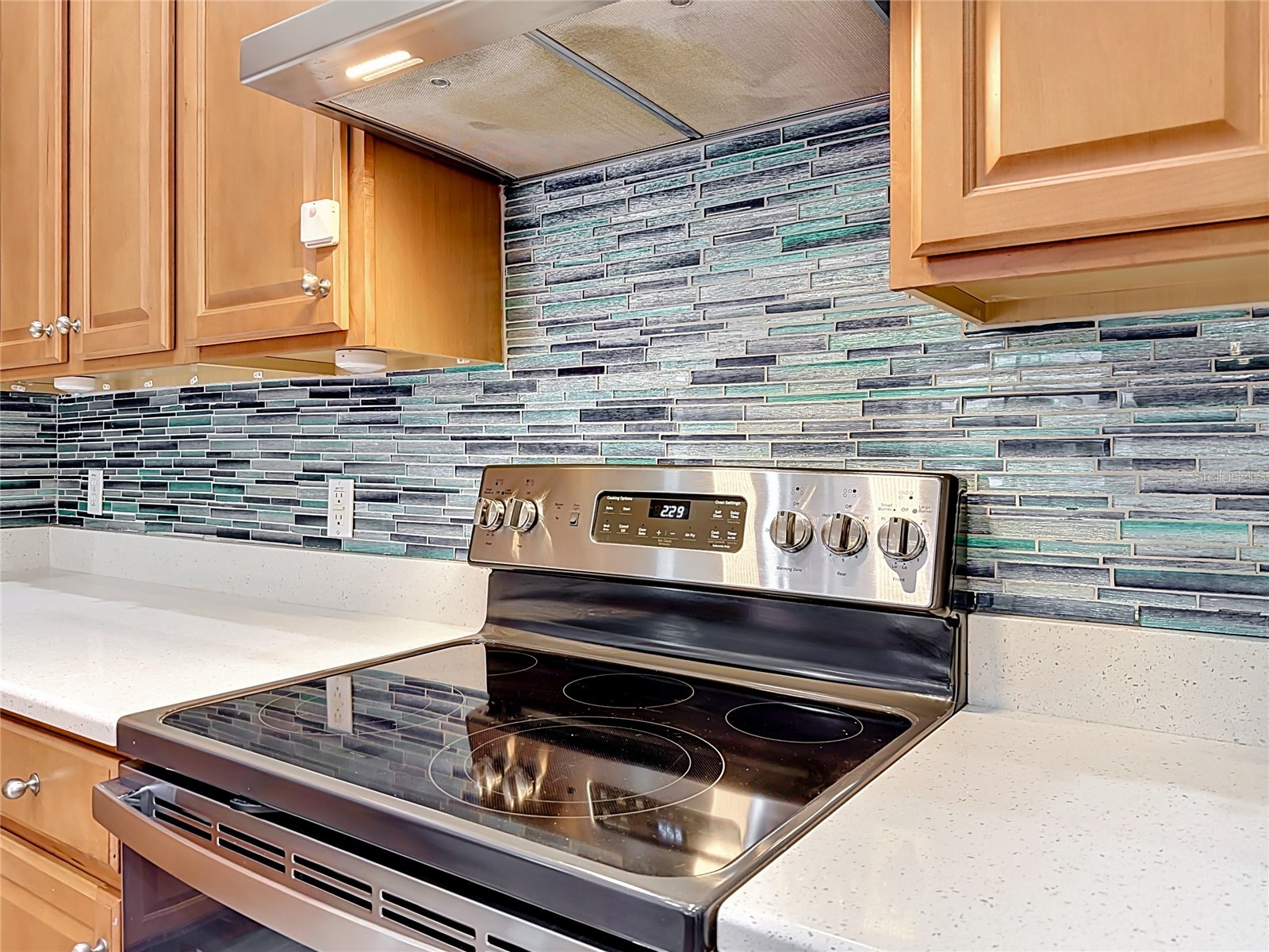 2432 Emerald Rose Way Apopka FL 32712 O6412008 image17