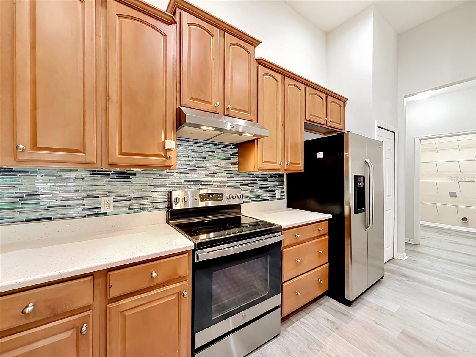 2432 Emerald Rose Way Apopka FL 32712 O6412008 image20