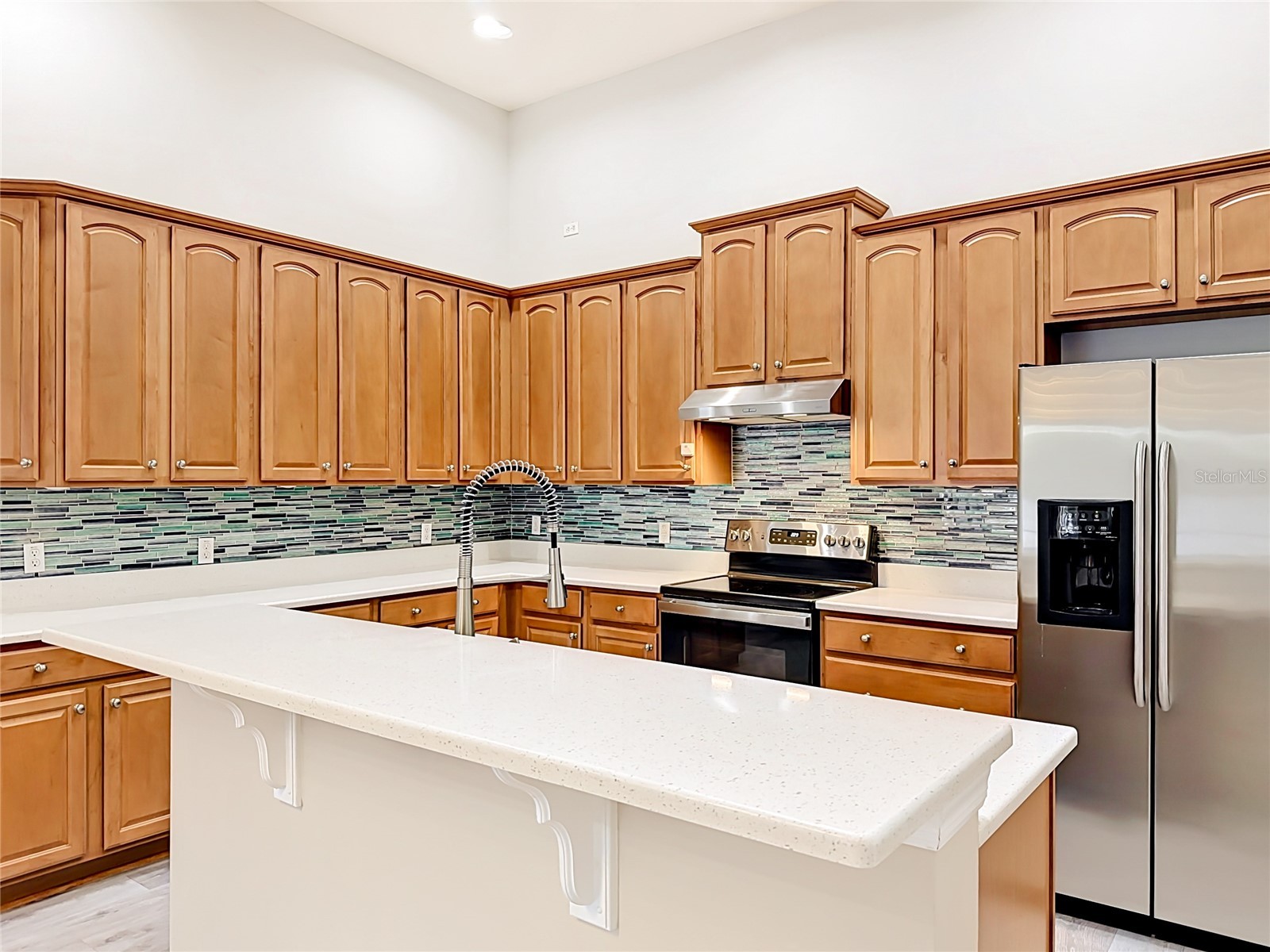 2432 Emerald Rose Way Apopka FL 32712 O6412008 image21