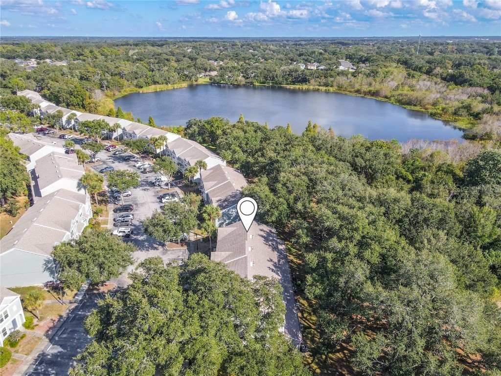 2432 Lake Woodberry Circle Brandon FL 33510 TB8331935 image39