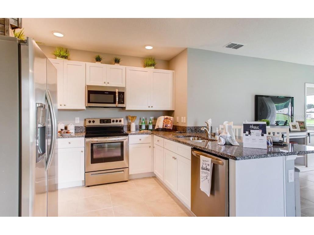 2432 Ribbon Fall Avenue Davenport FL 33837 O6404543 image3