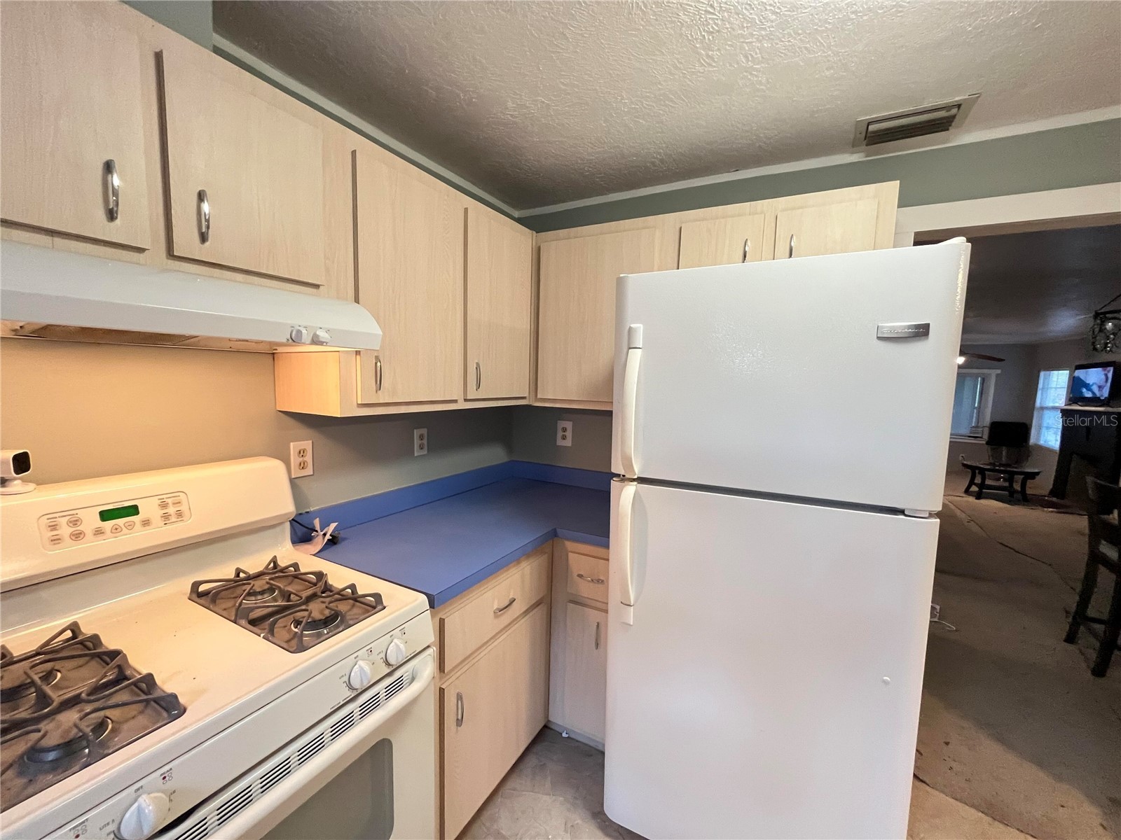 2432 SW 1st St Ocala FL 34475 O6416180 image33