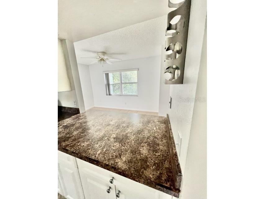 2432 Swailes Drive #3 Orlando FL 32837 S5144316 image6