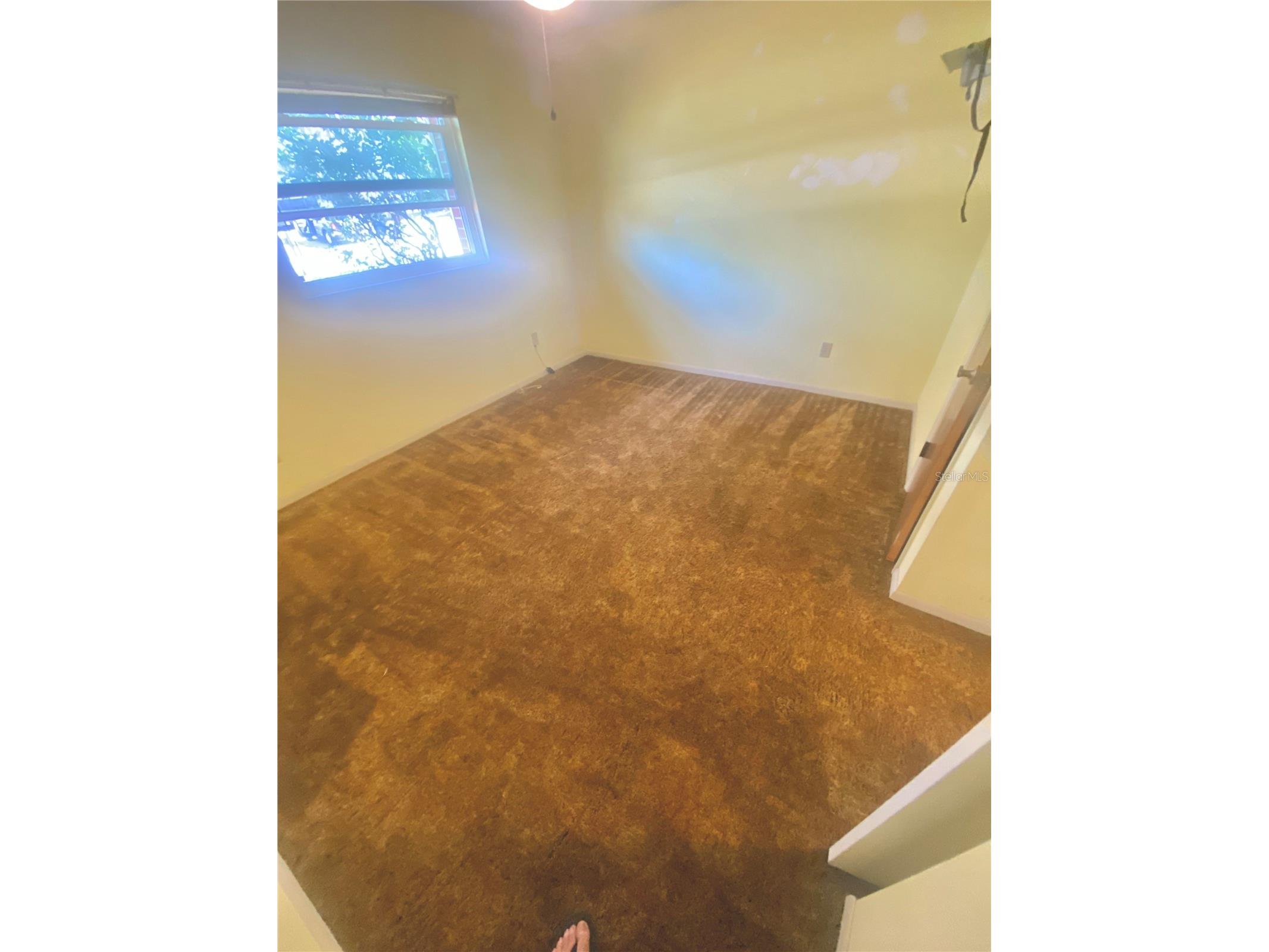 2432 Woodland Drive Edgewater FL 32141 NS1087158 image28