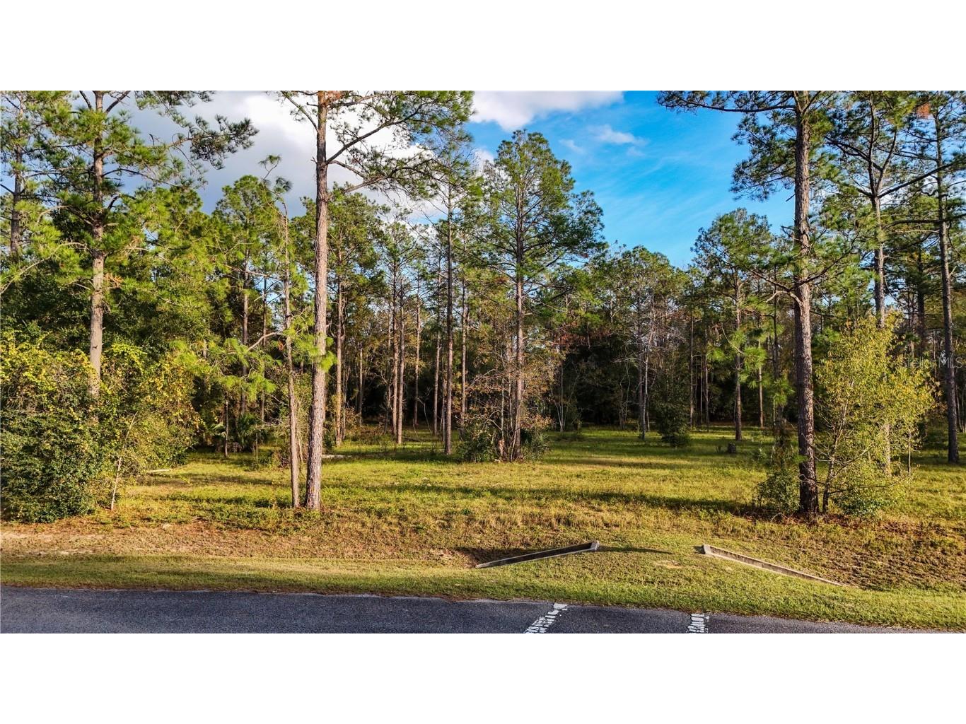 24325 Deep Springs Loop Eustis FL 32736 G5104946 image1