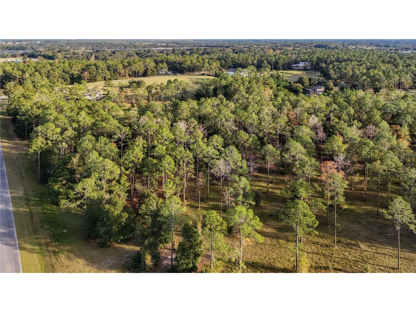 24325 Deep Springs Loop Eustis FL 32736 G5104946 image16