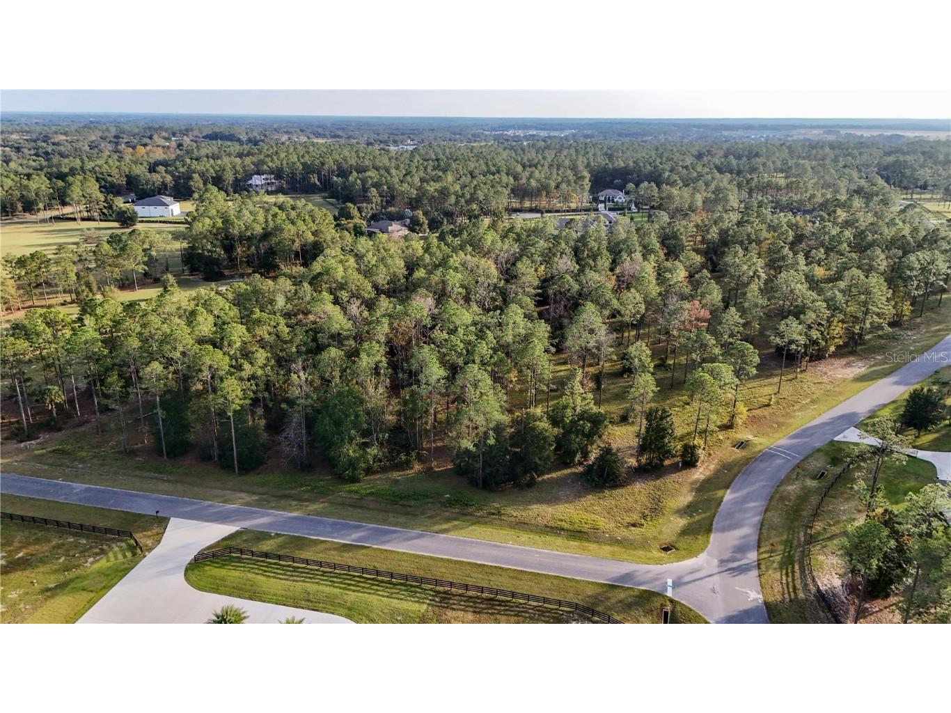 24325 Deep Springs Loop Eustis FL 32736 G5104946 image17