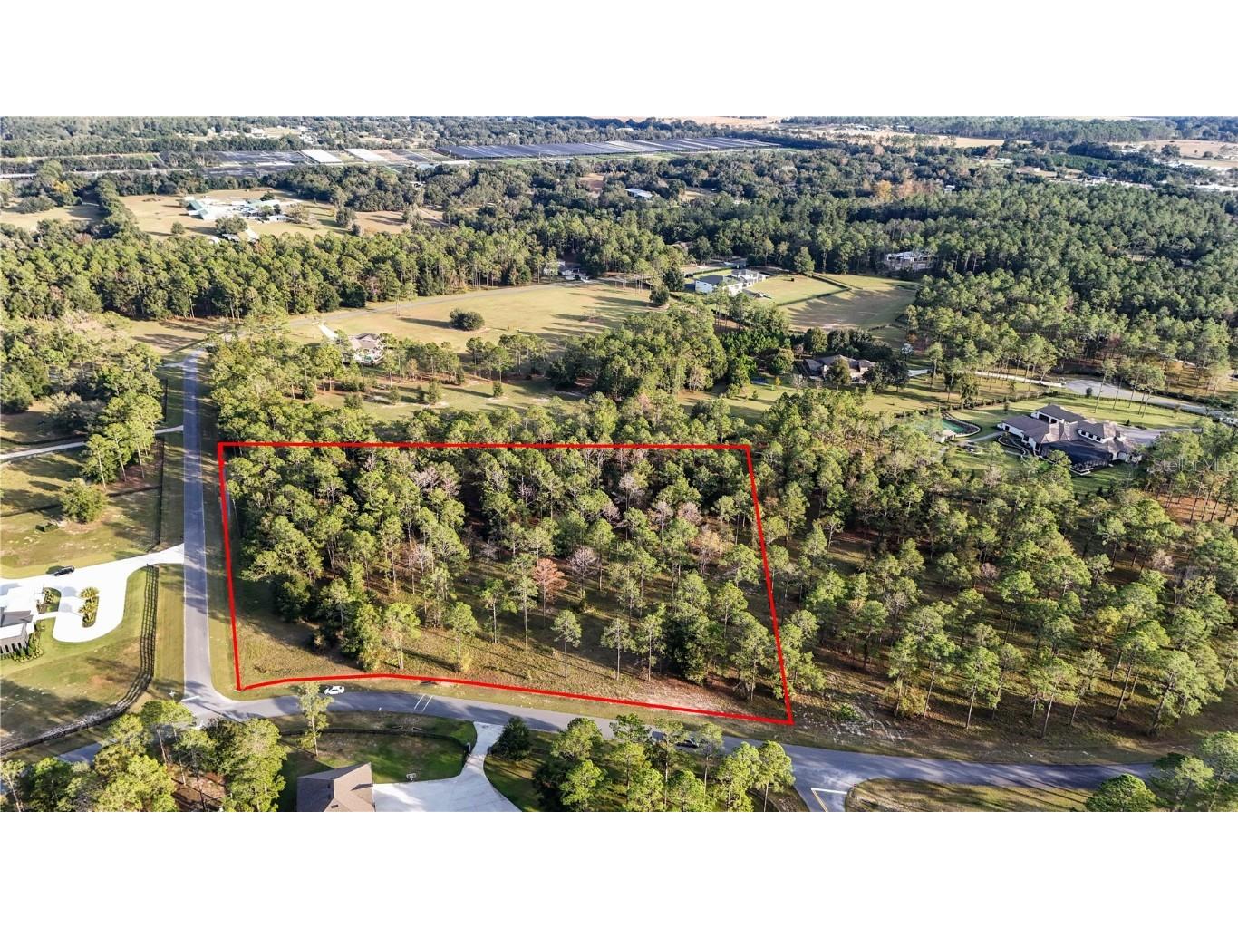 24325 Deep Springs Loop Eustis FL 32736 G5104946 image2