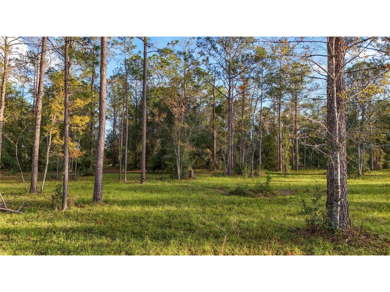24325 Deep Springs Loop Eustis FL 32736 G5104946 image21