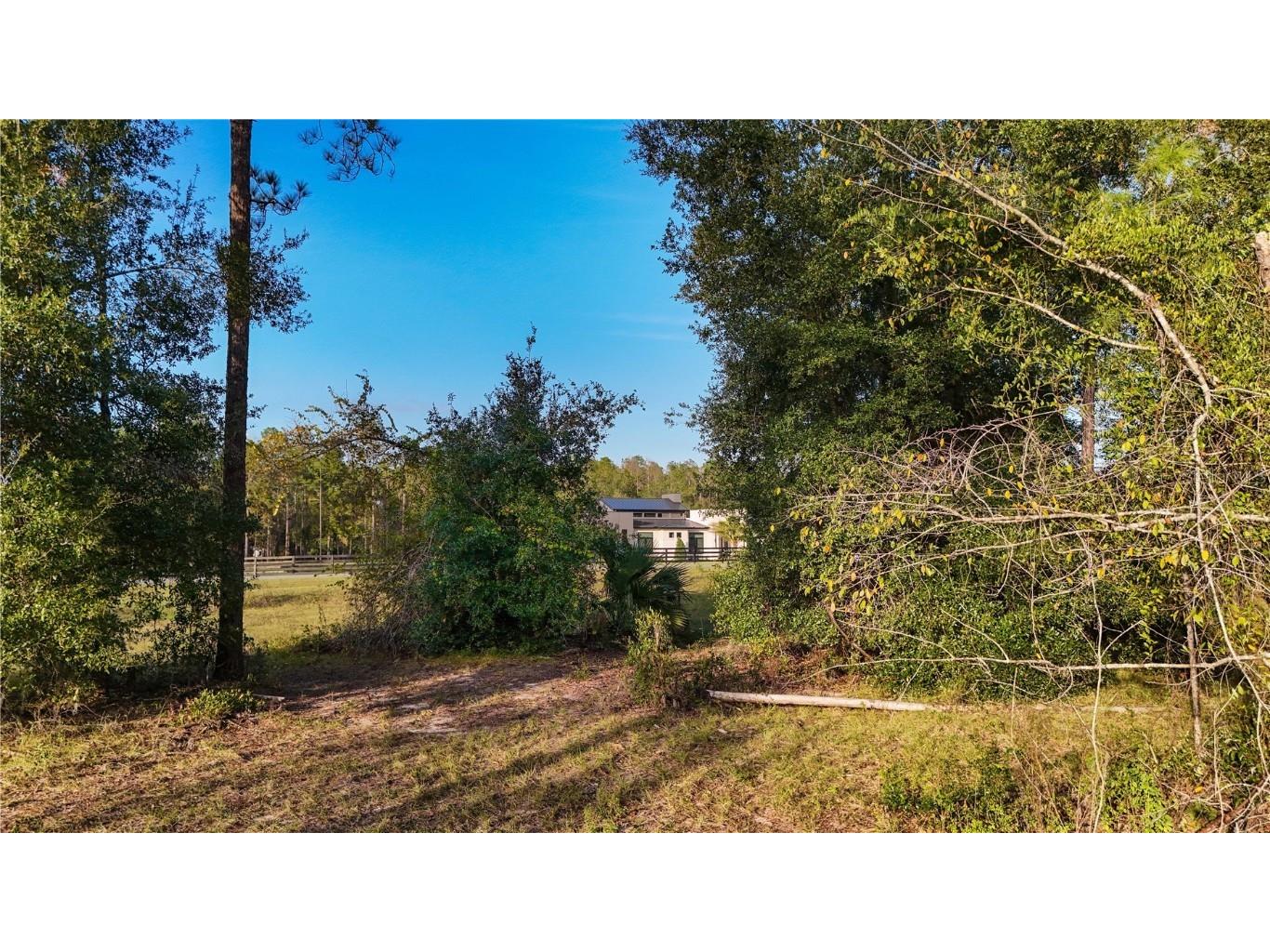 24325 Deep Springs Loop Eustis FL 32736 G5104946 image22
