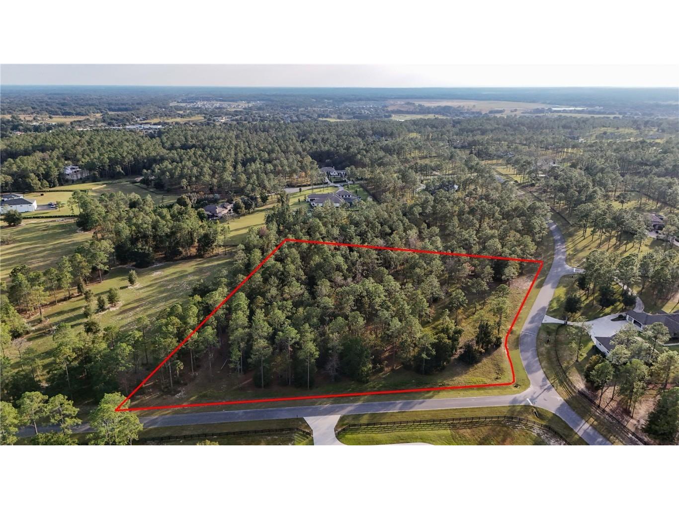 24325 Deep Springs Loop Eustis FL 32736 G5104946 image3