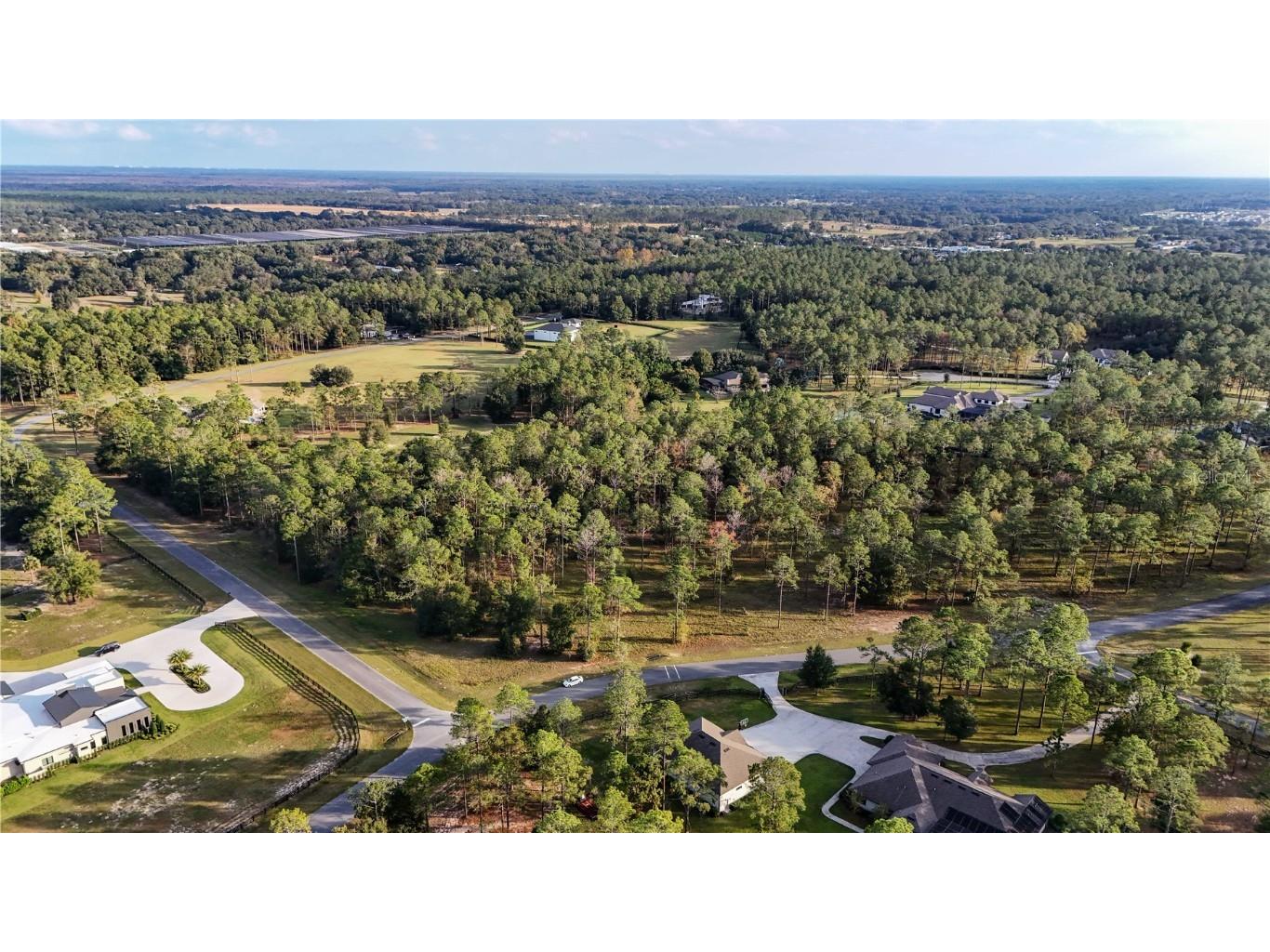 24325 Deep Springs Loop Eustis FL 32736 G5104946 image4