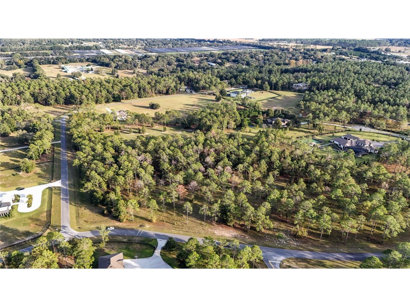 24325 Deep Springs Loop Eustis FL 32736 G5104946 image6