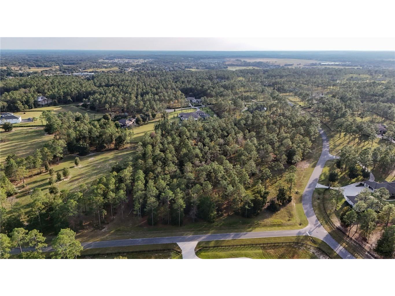 24325 Deep Springs Loop Eustis FL 32736 G5104946 image9