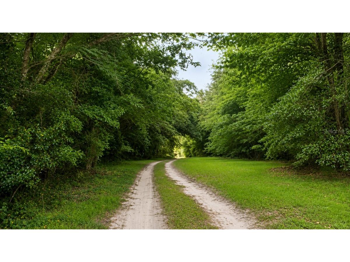 24325 SW 46th Avenue Newberry FL 32669 A4699226 image11
