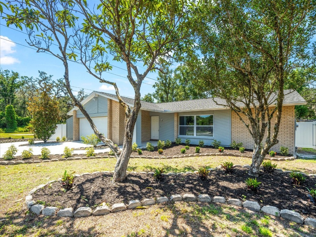 2433 Blind Pond Avenue Lutz FL 33549 TB8388027 image1