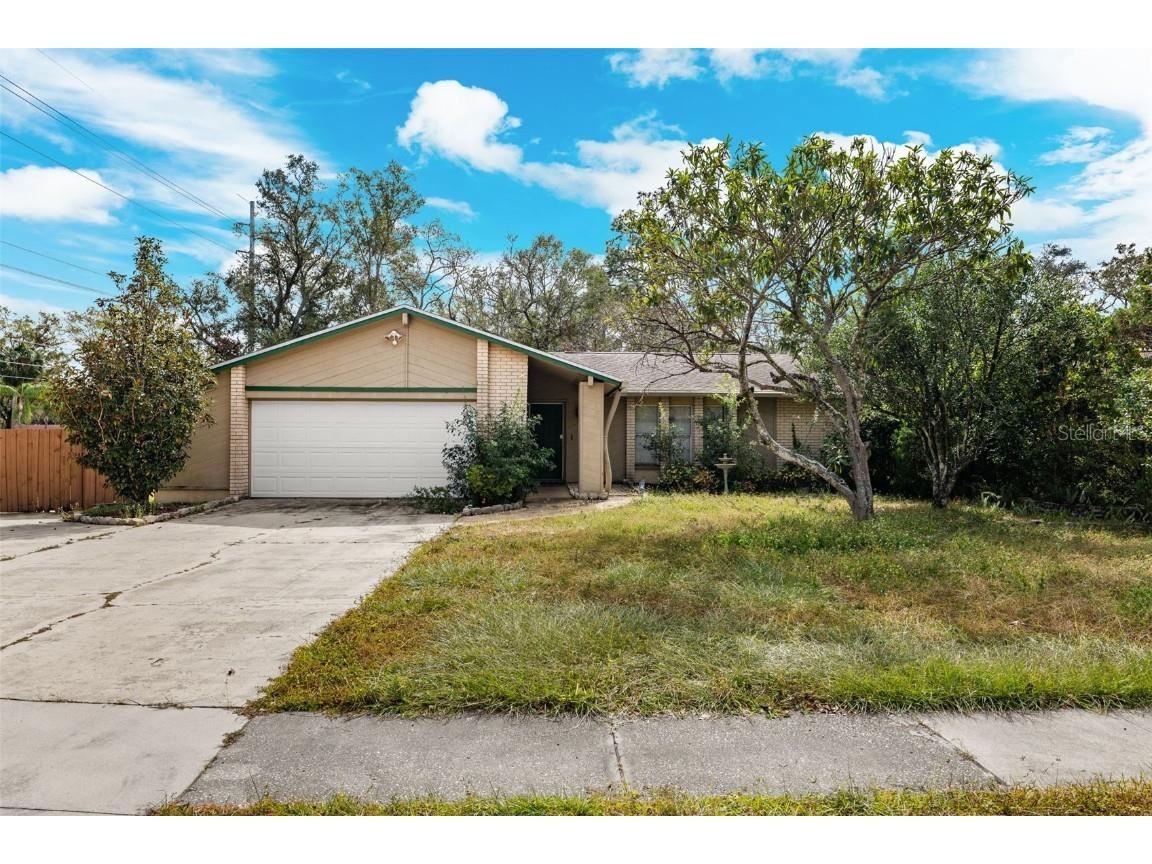 2433 Blind Pond Avenue Lutz FL 33549 W7869651 image1