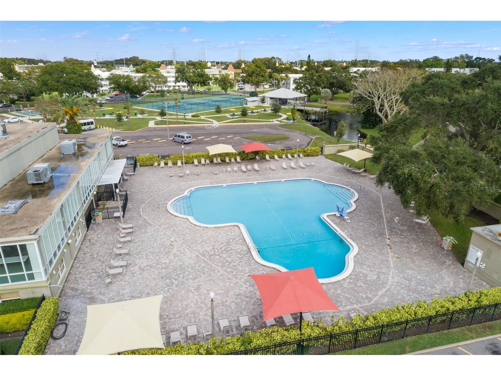 2433 Brazilia Drive #41 Clearwater FL 33763 - LAKE ARBOR TB8490053 image31