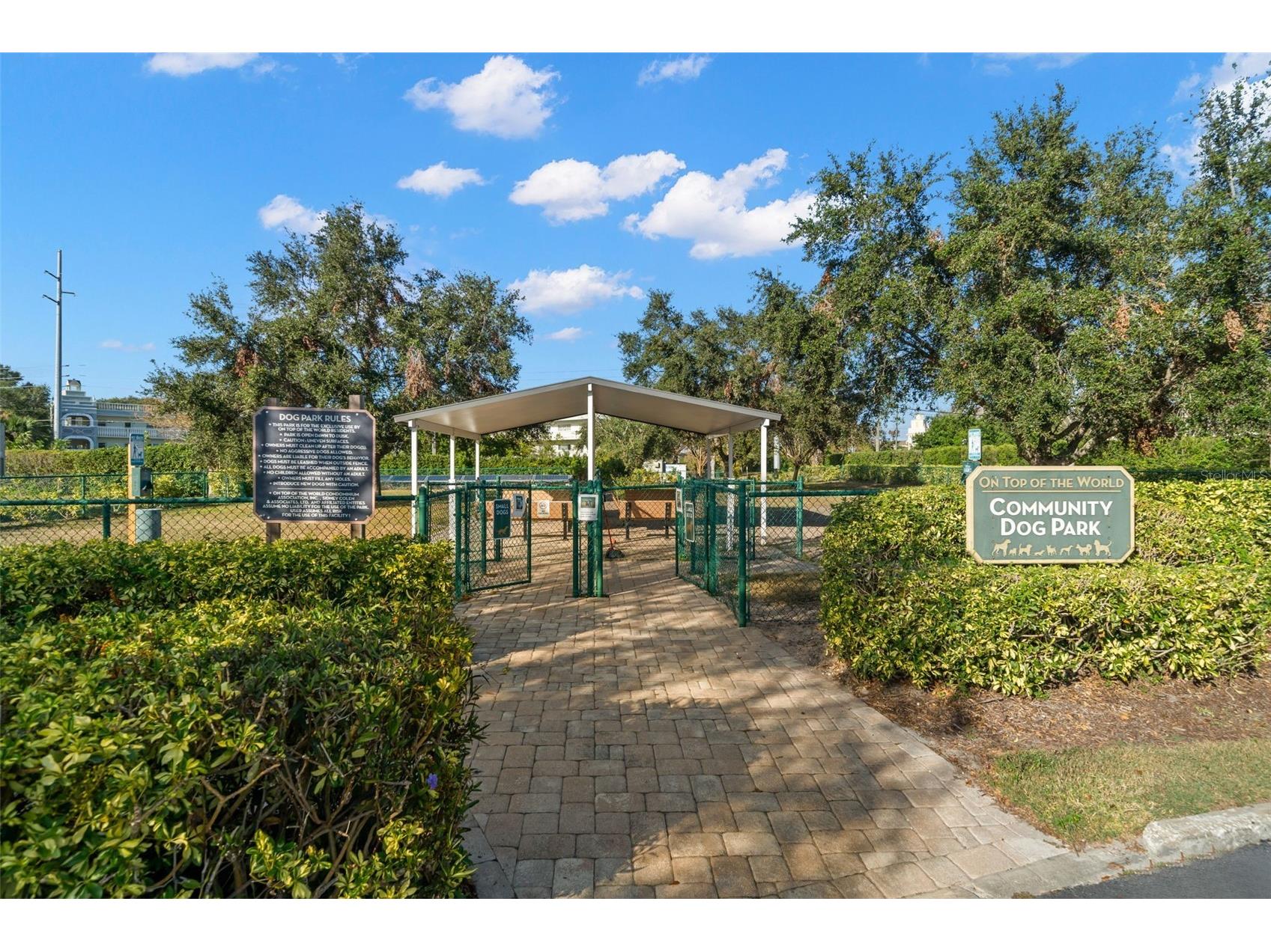2433 Brazilia Drive #41 Clearwater FL 33763 - LAKE ARBOR TB8490053 image33