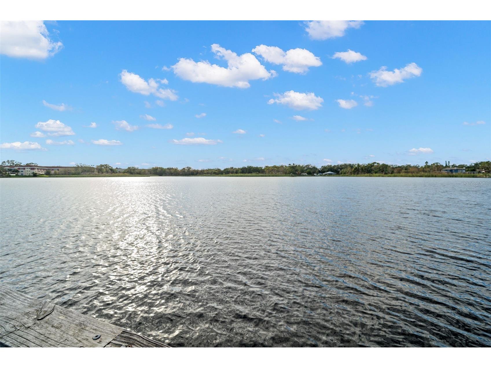 2433 Brazilia Drive #41 Clearwater FL 33763 - LAKE ARBOR TB8490053 image35