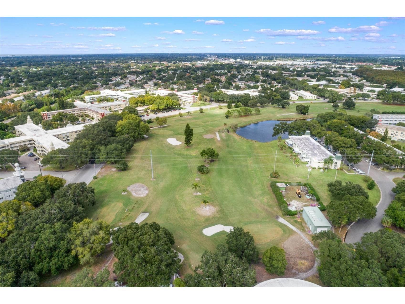 2433 Brazilia Drive #41 Clearwater FL 33763 - LAKE ARBOR TB8490053 image38