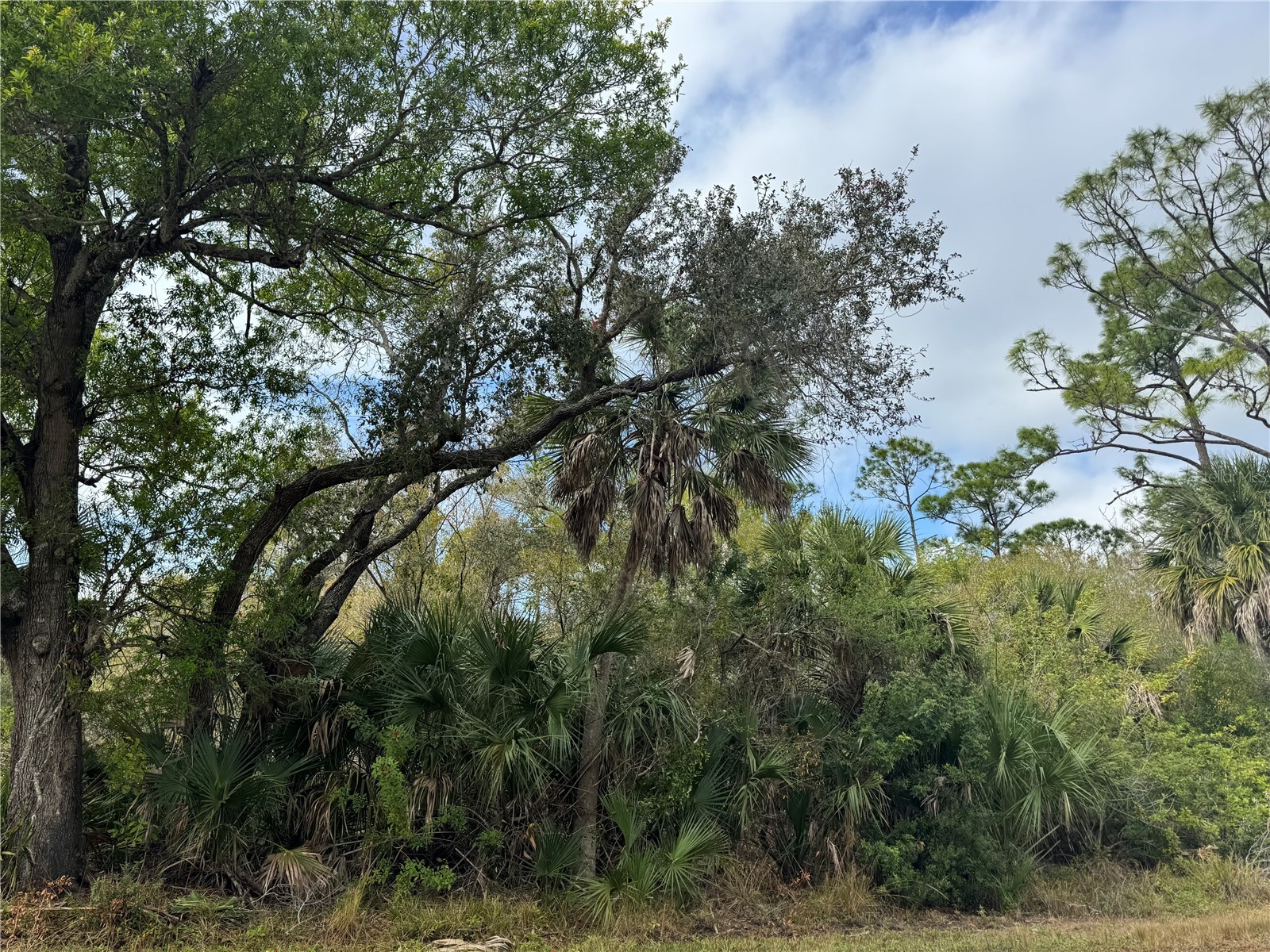 2433 Largo Street Punta Gorda FL 33980 C7520565 image1