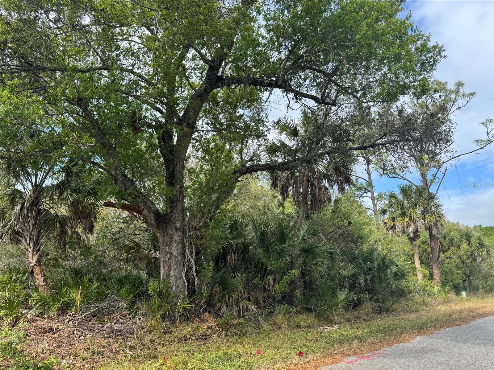 2433 Largo Street Punta Gorda FL 33980 C7520565 image2