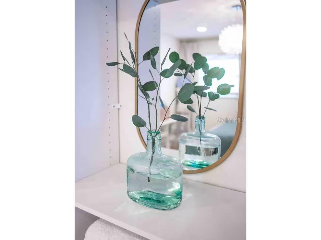 2433 Lydia Way New Smyrna Beach FL 32168 O6314674 image47