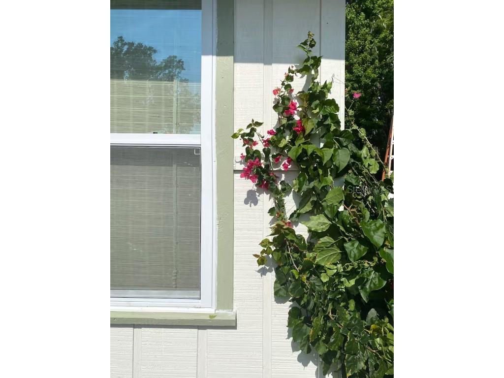 2433 Lydia Way New Smyrna Beach FL 32168 O6314674 image55