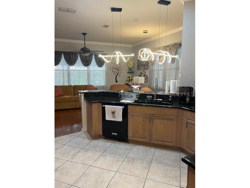 2433 Prairie Dunes Clermont FL 34711 G5107583 image19