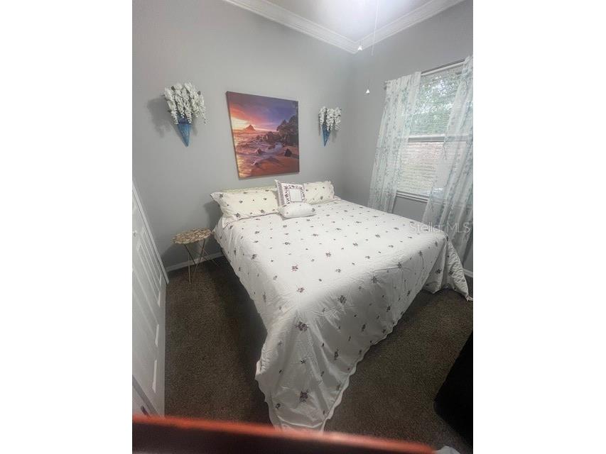 2433 Prairie Dunes Clermont FL 34711 G5107583 image4