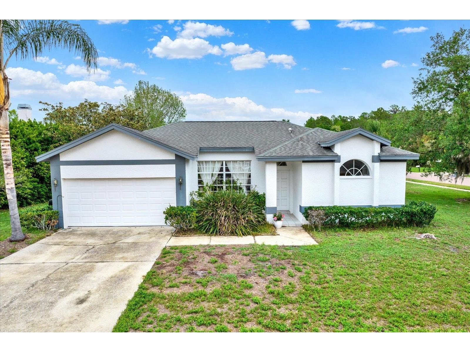2433 Saddlewood Lane Palm Harbor FL 34685 TB8494498 image1
