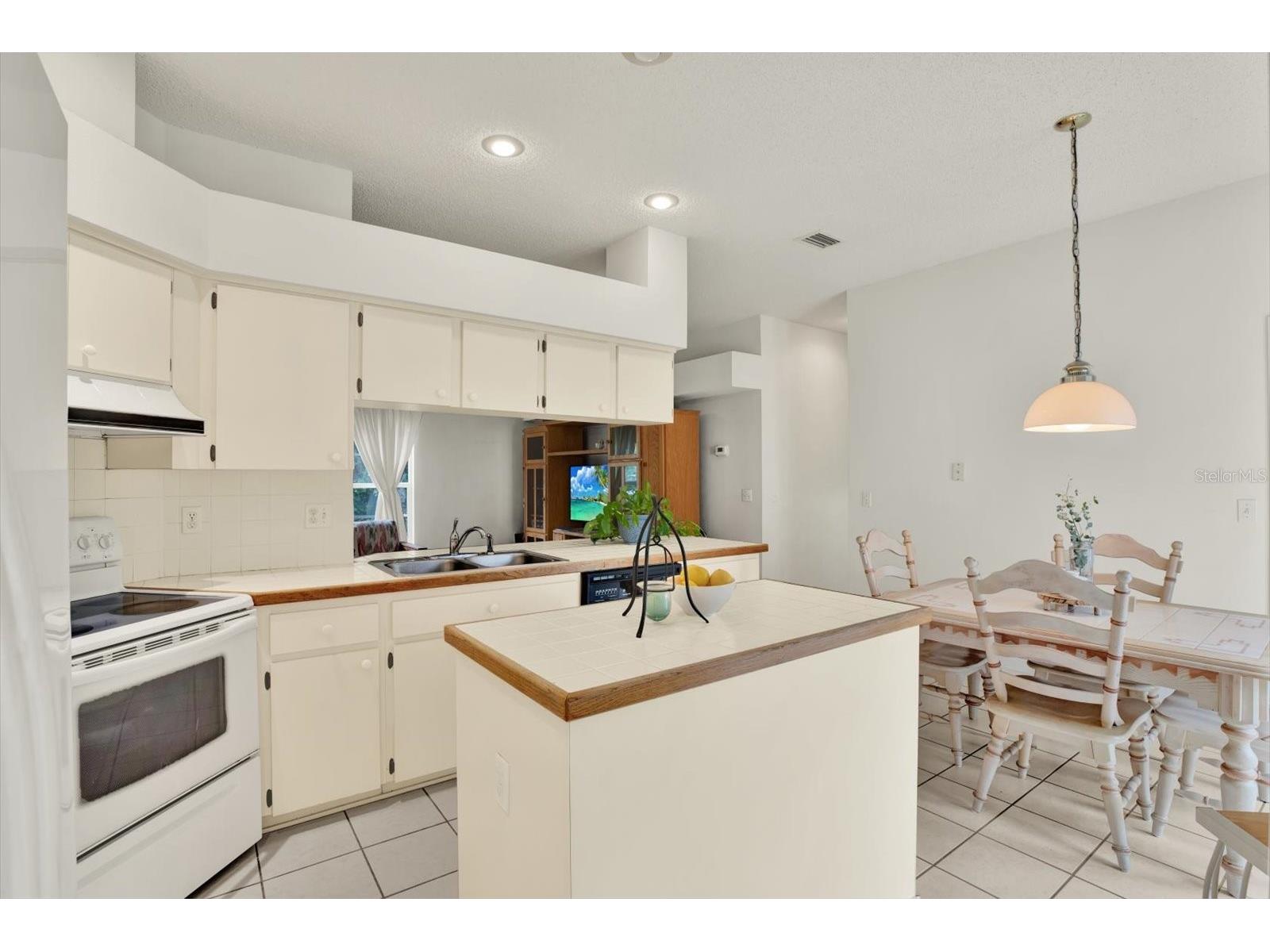 2433 Saddlewood Lane Palm Harbor FL 34685 TB8494498 image15