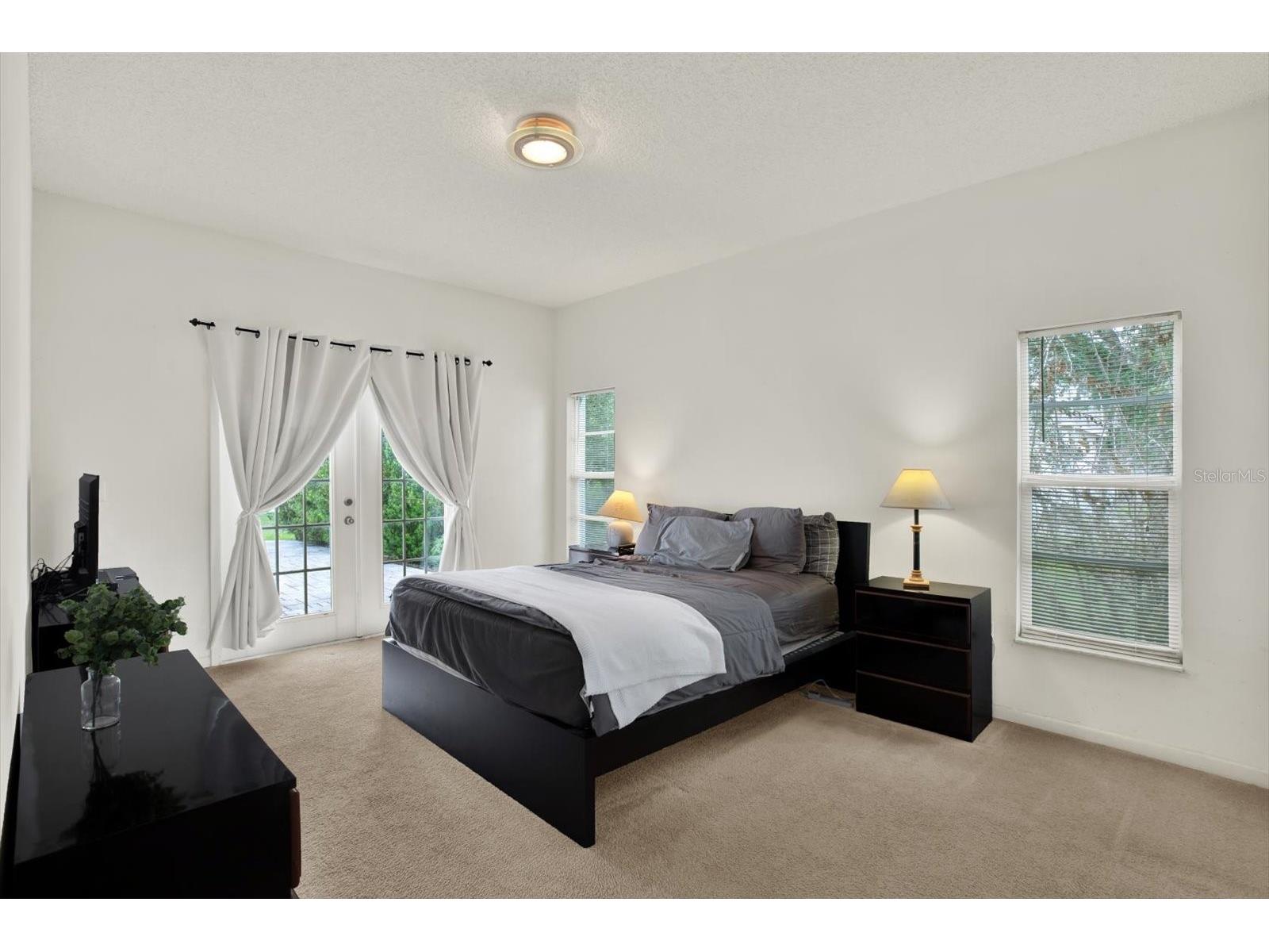 2433 Saddlewood Lane Palm Harbor FL 34685 TB8494498 image16