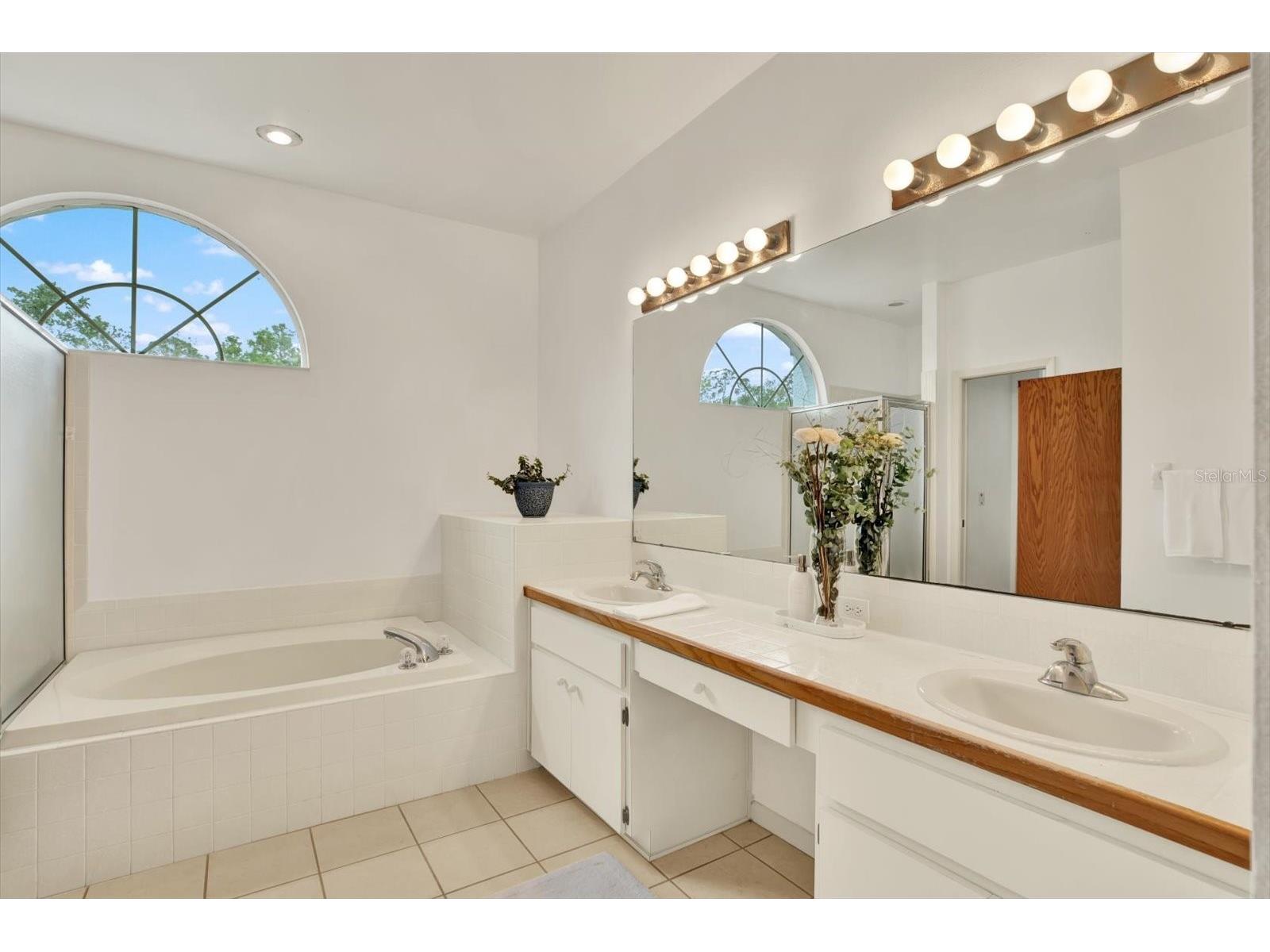 2433 Saddlewood Lane Palm Harbor FL 34685 TB8494498 image18