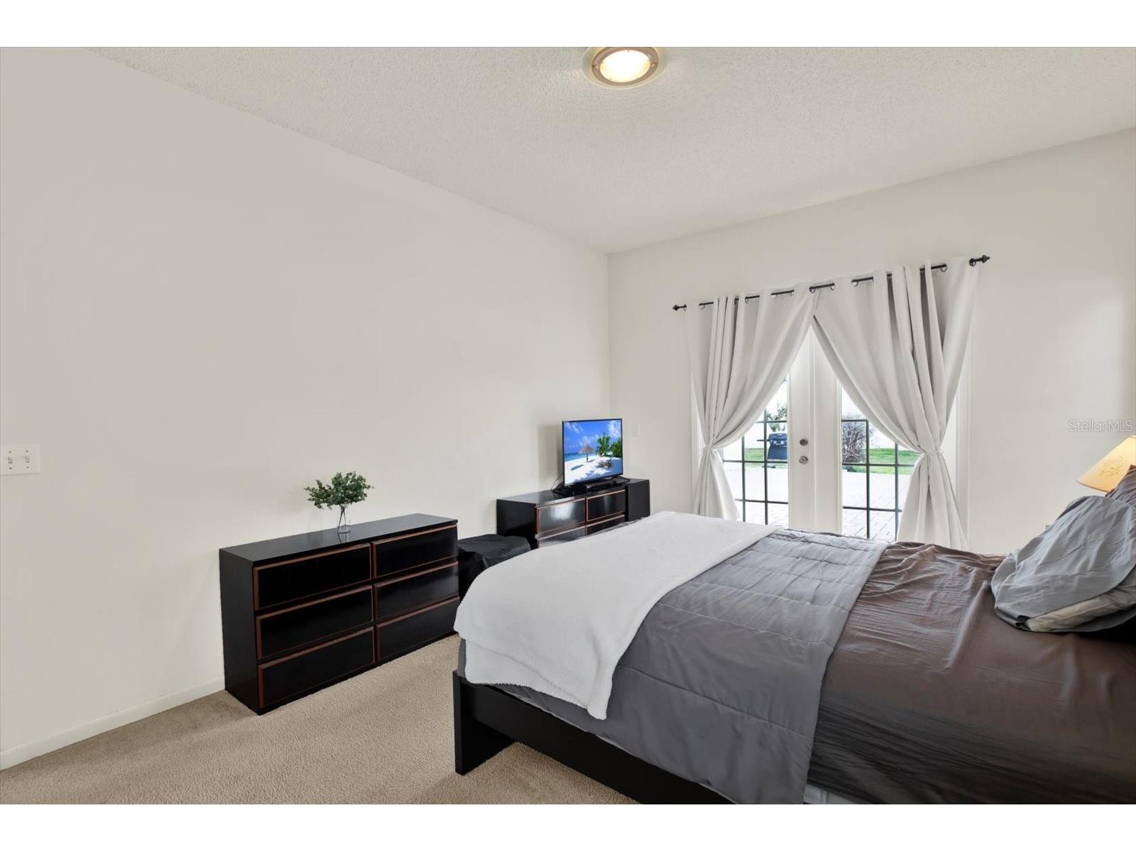 2433 Saddlewood Lane Palm Harbor FL 34685 TB8494498 image19