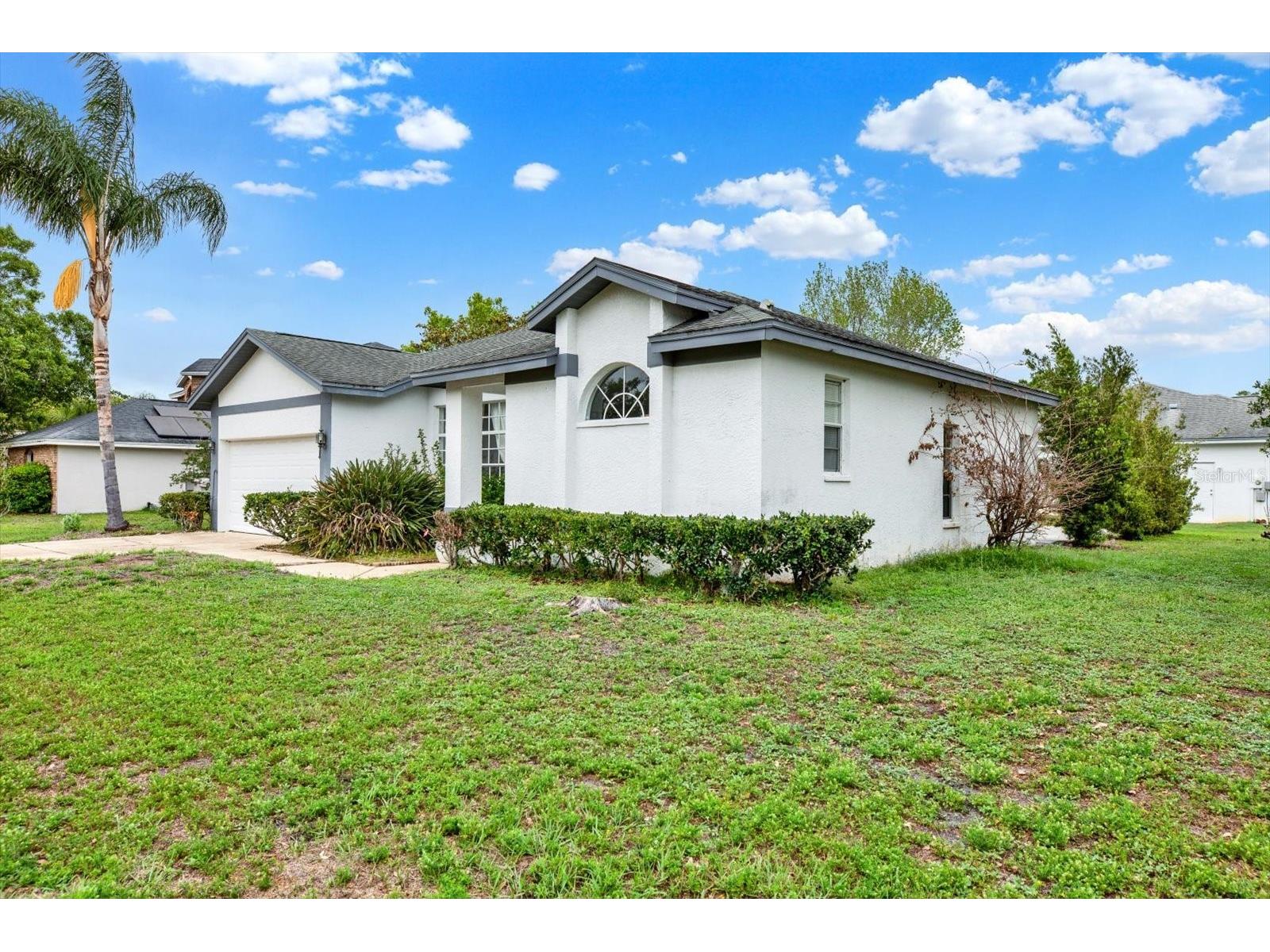 2433 Saddlewood Lane Palm Harbor FL 34685 TB8494498 image2