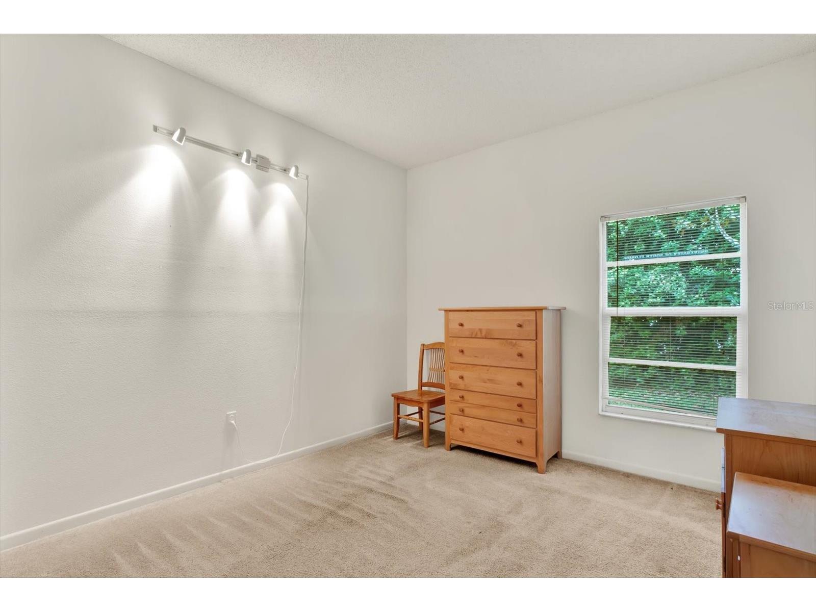 2433 Saddlewood Lane Palm Harbor FL 34685 TB8494498 image20