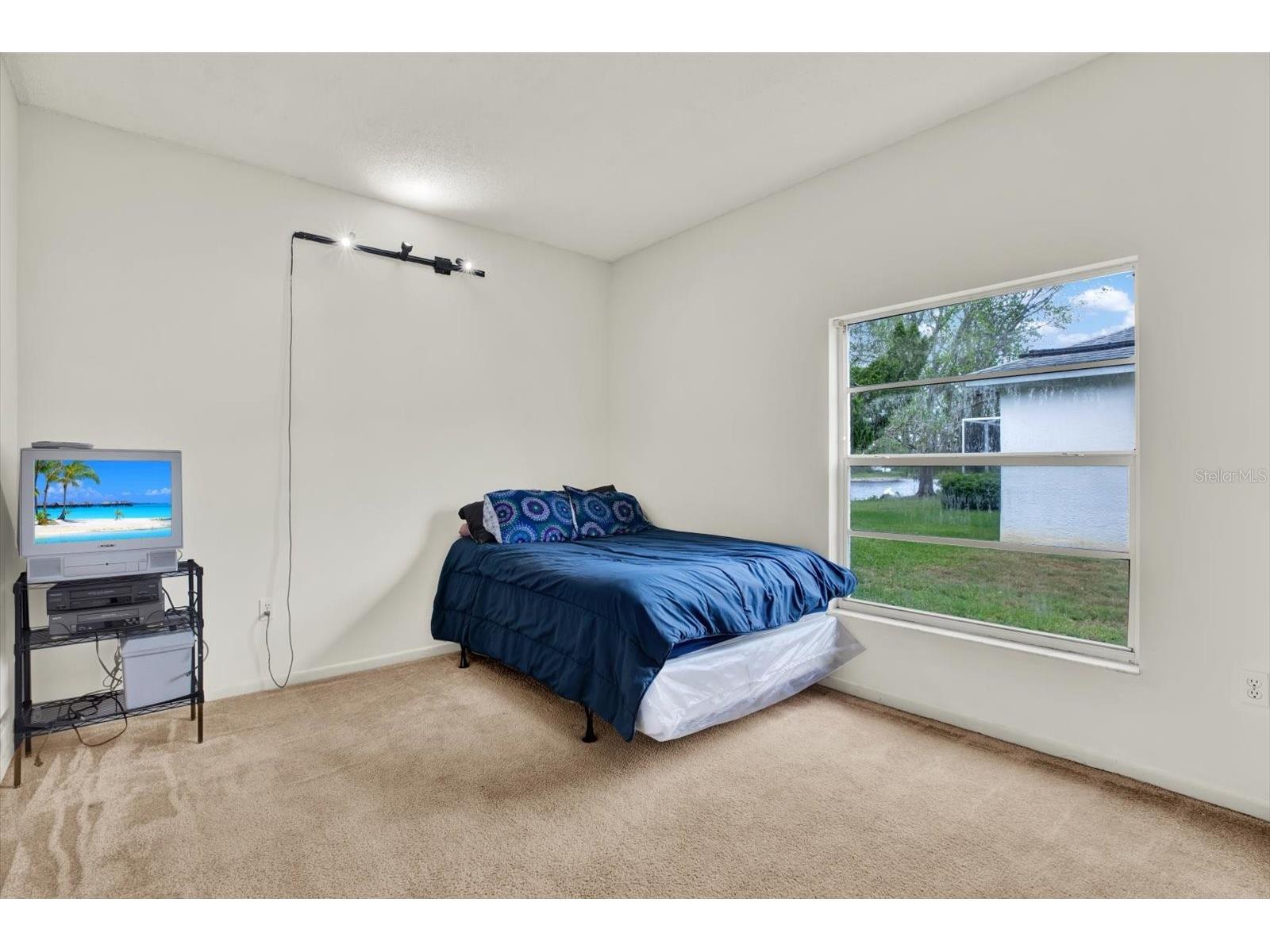 2433 Saddlewood Lane Palm Harbor FL 34685 TB8494498 image22