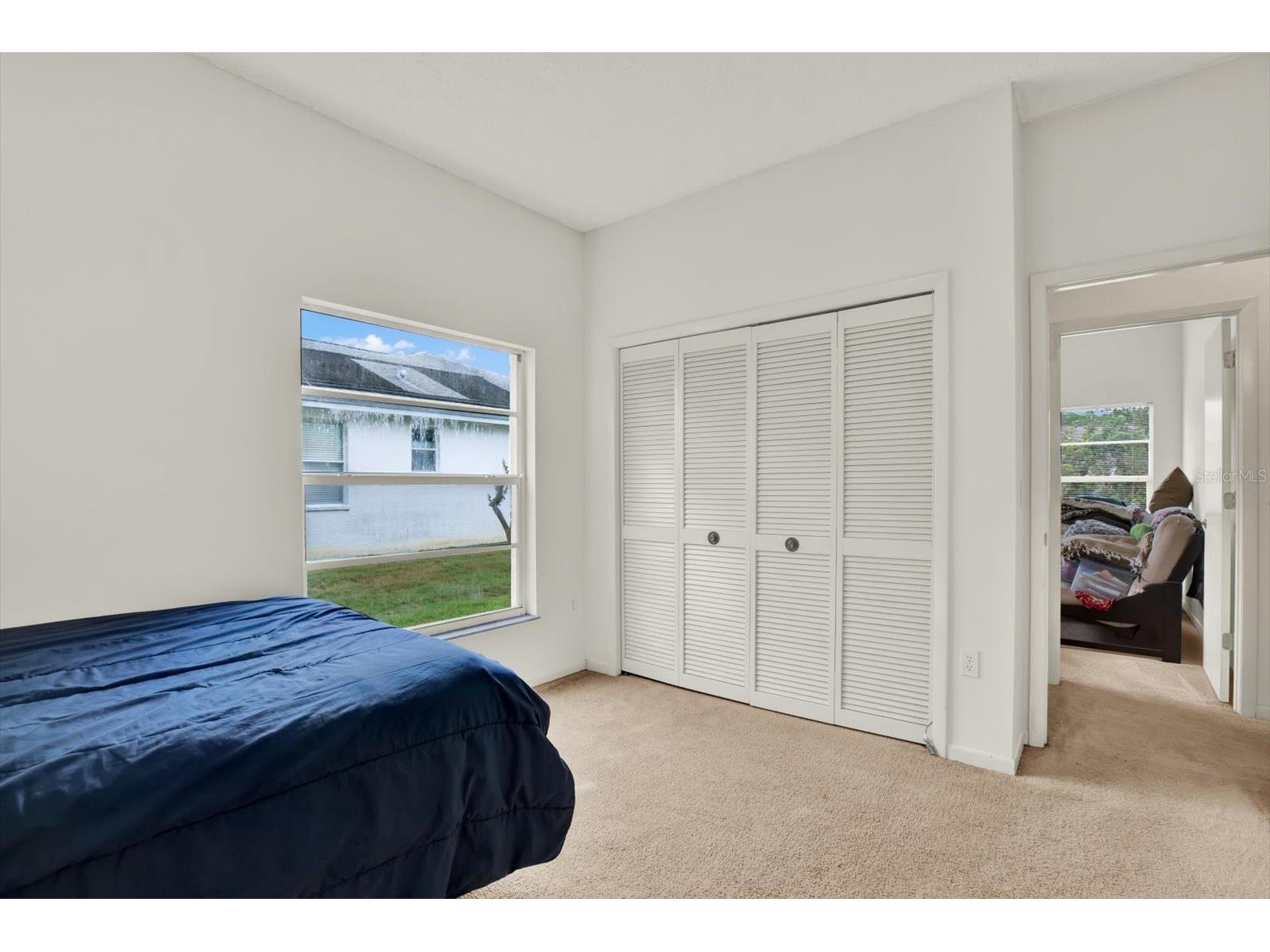 2433 Saddlewood Lane Palm Harbor FL 34685 TB8494498 image23