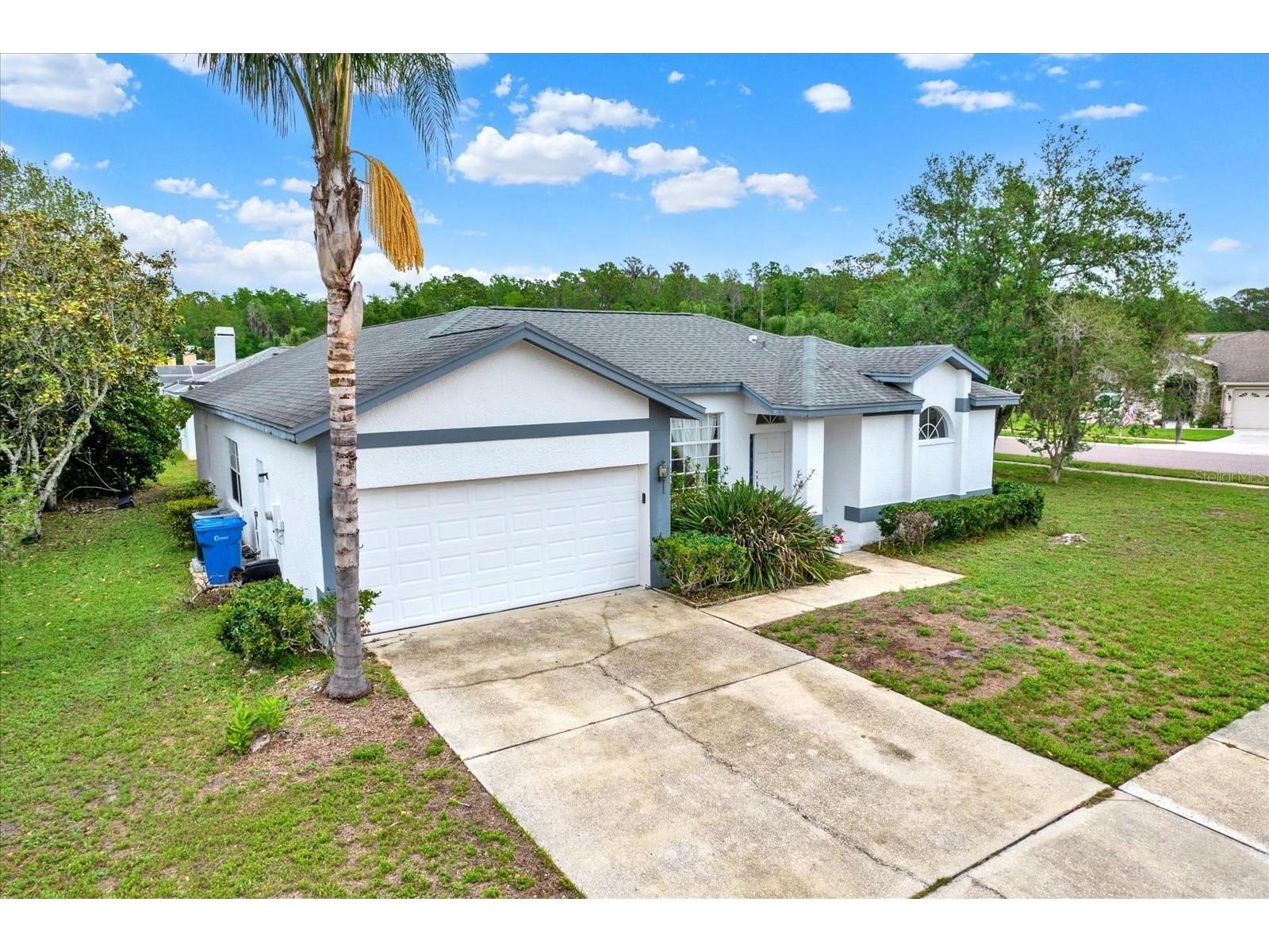 2433 Saddlewood Lane Palm Harbor FL 34685 TB8494498 image3