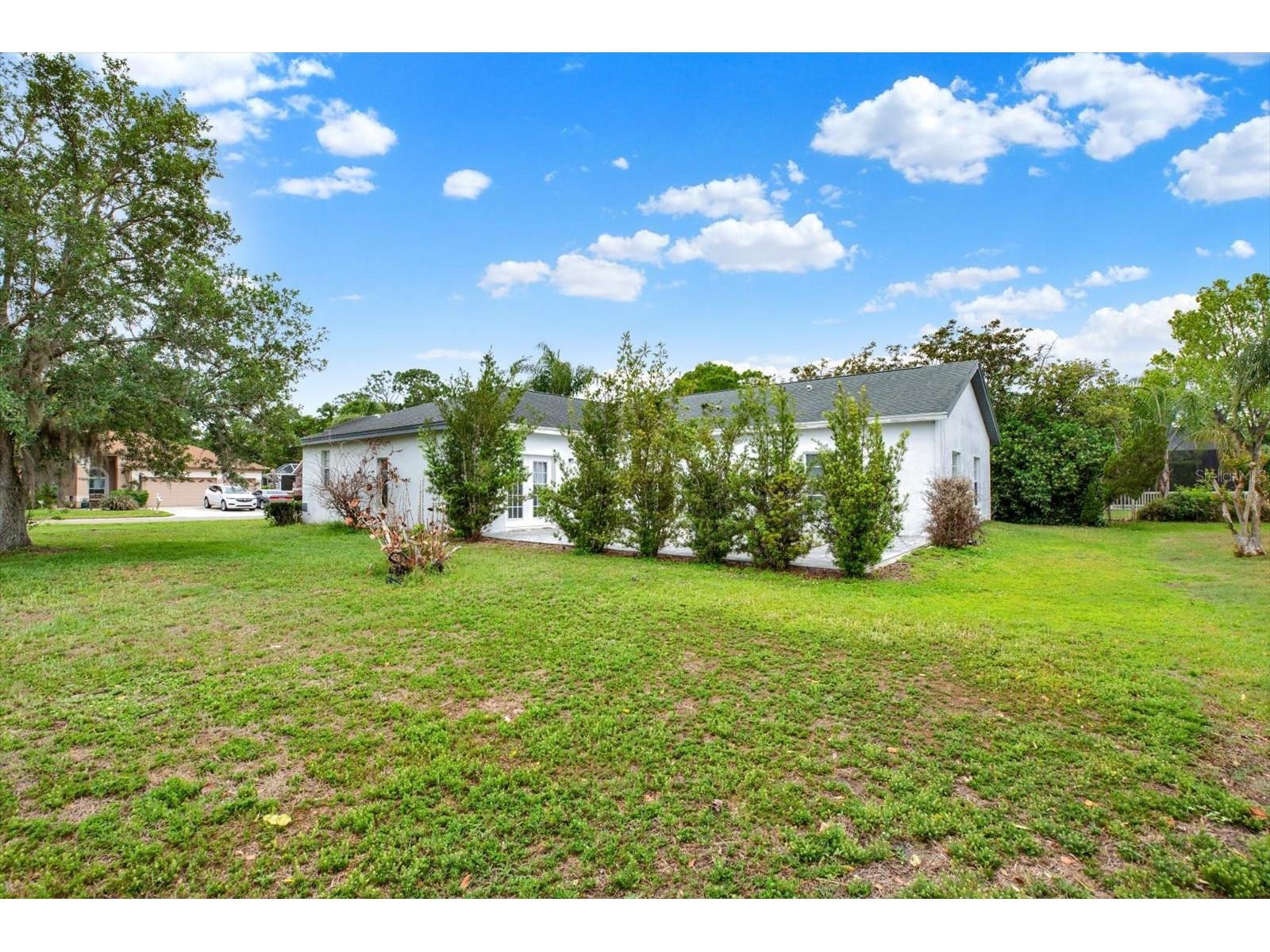 2433 Saddlewood Lane Palm Harbor FL 34685 TB8494498 image30