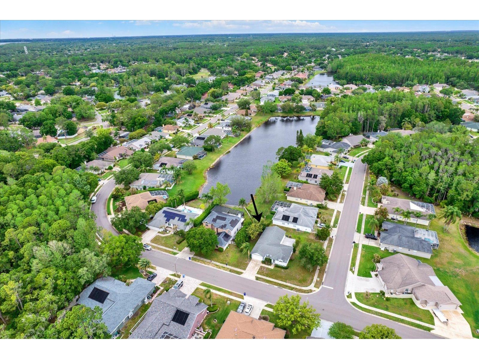 2433 Saddlewood Lane Palm Harbor FL 34685 TB8494498 image31