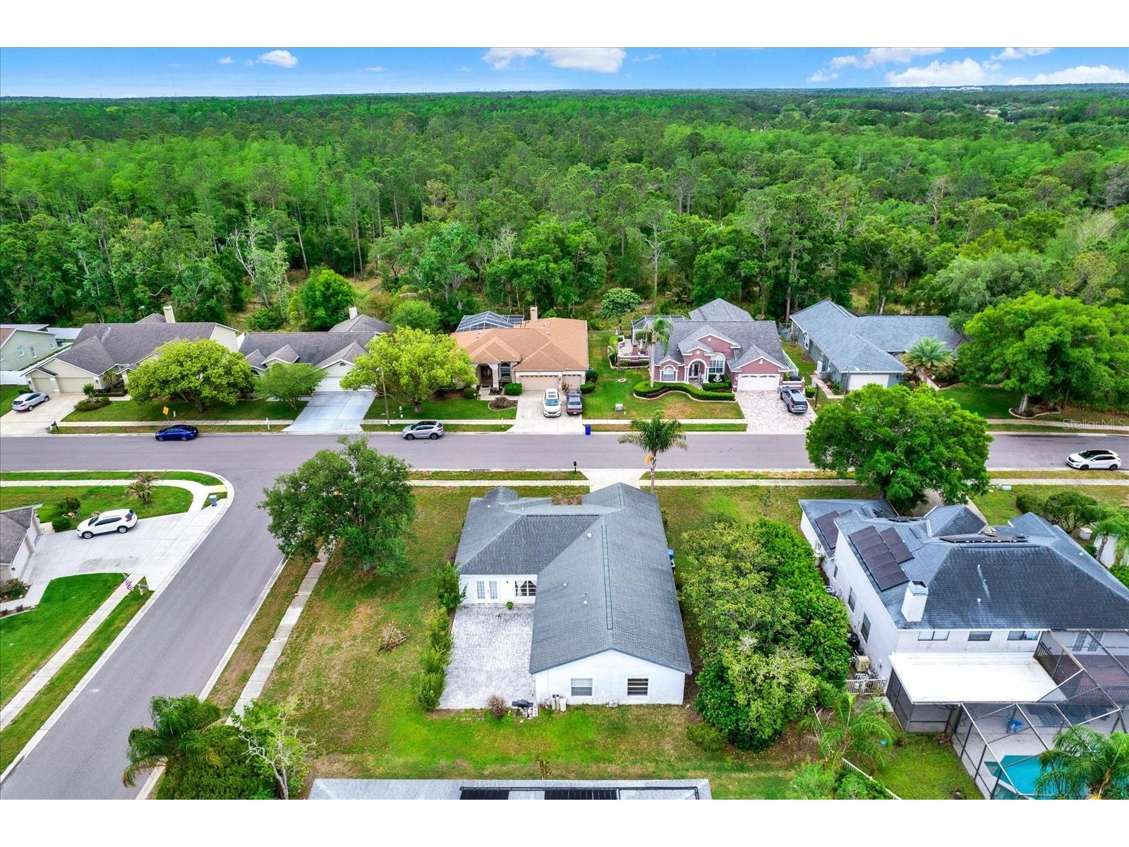 2433 Saddlewood Lane Palm Harbor FL 34685 TB8494498 image32