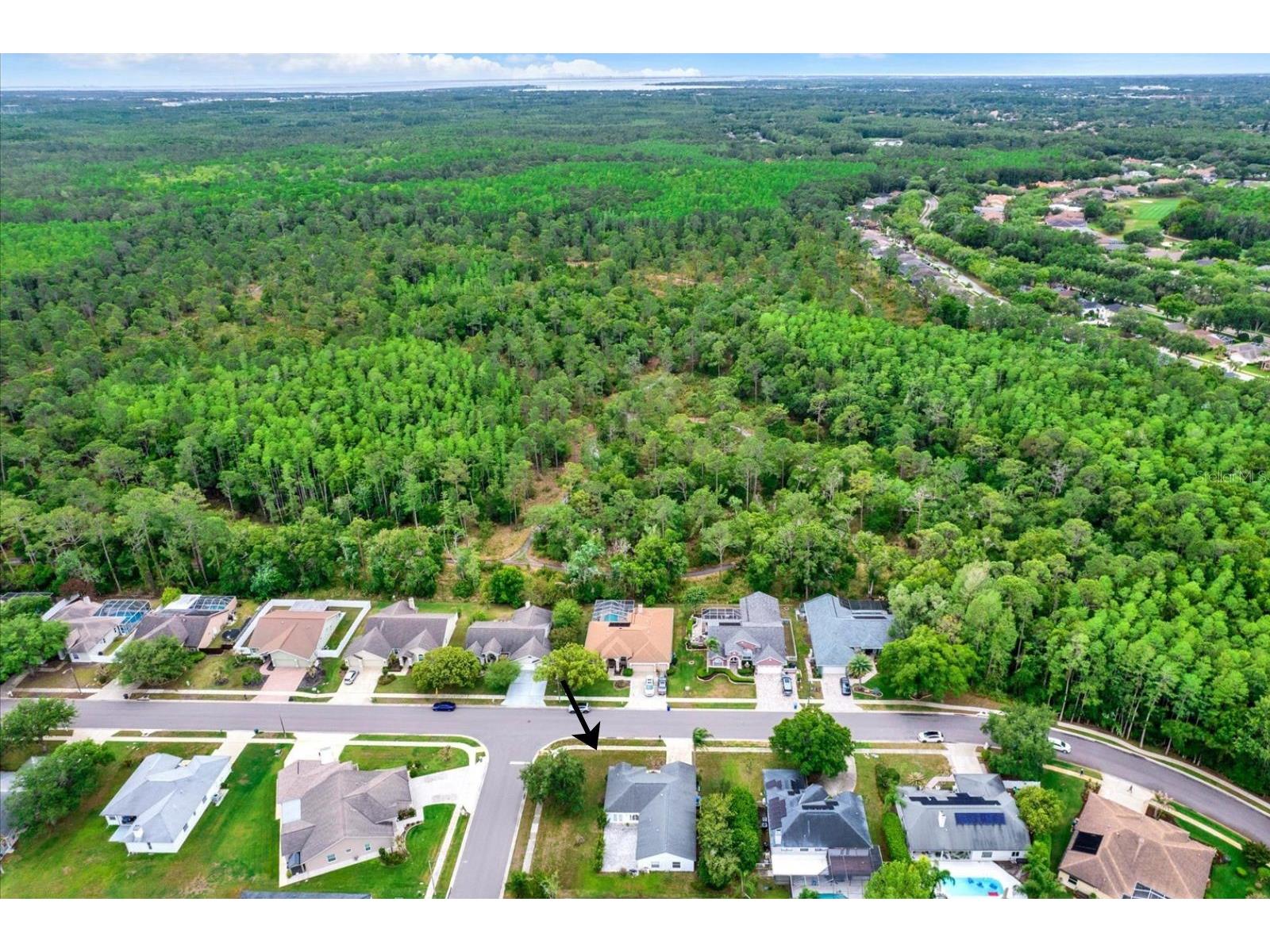 2433 Saddlewood Lane Palm Harbor FL 34685 TB8494498 image33
