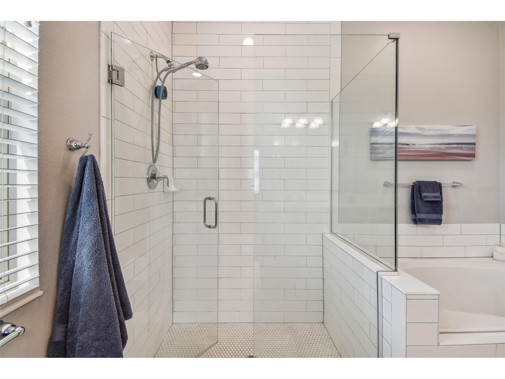 2433 Santa Vista Loop Apopka FL 32703 O6401464 image27
